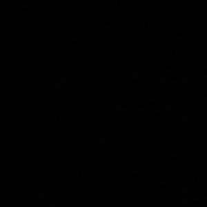 Meet your Posher, Bryan